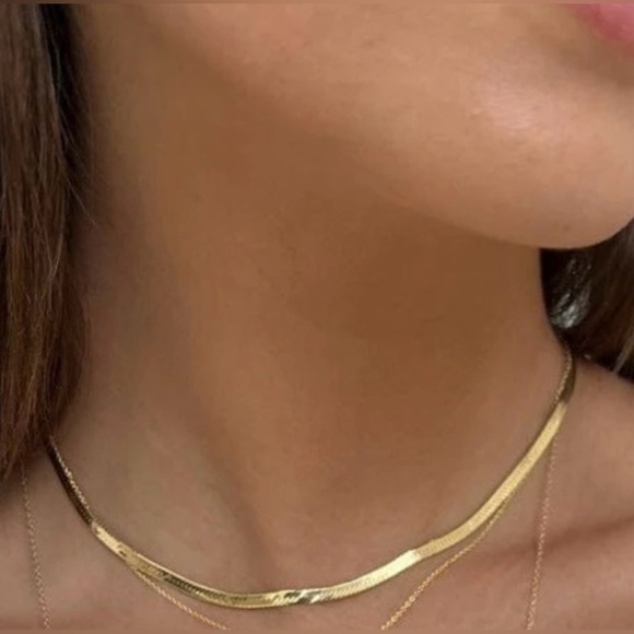 Jennifer Zeuner Jewelry - New Jennifer Zeuner Hamilton Herringbone Necklace 💕